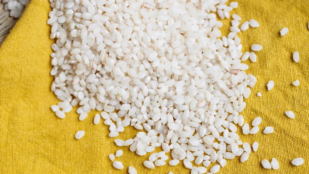 taller arroz2