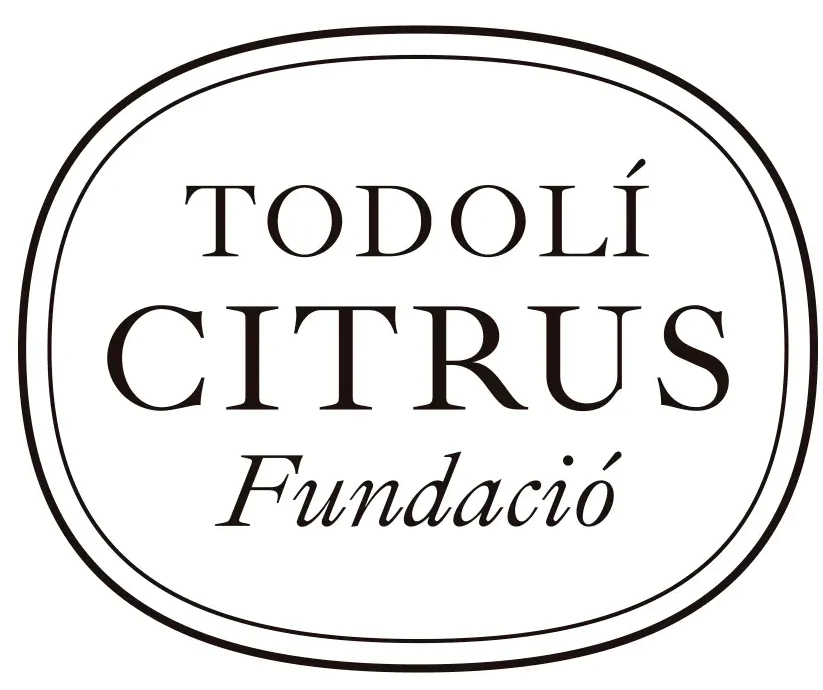 todoli e1770899861873